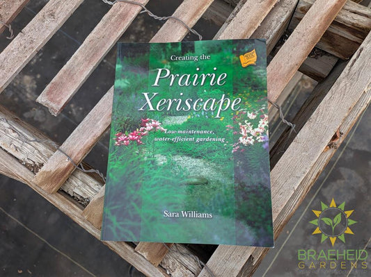 Creating the Prairie Xeriscape