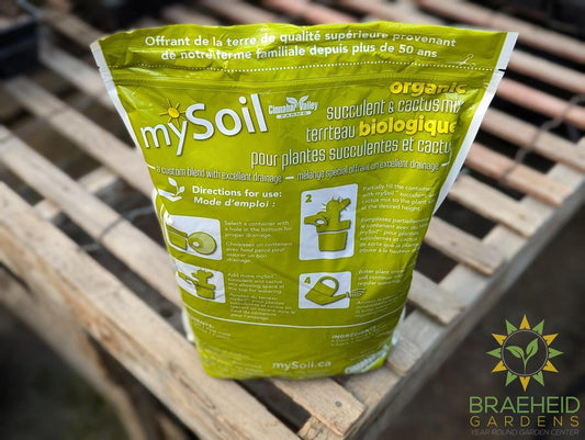 Organic Succulent & Cactus Mix mySoil