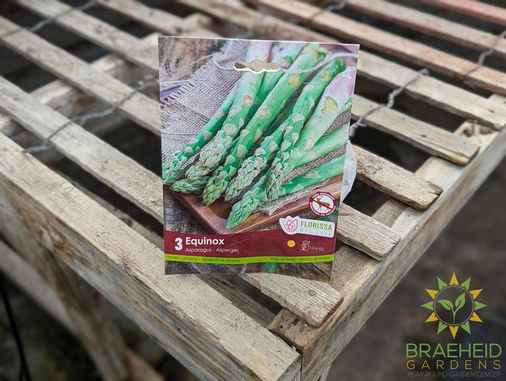 Asparagus Equinox root