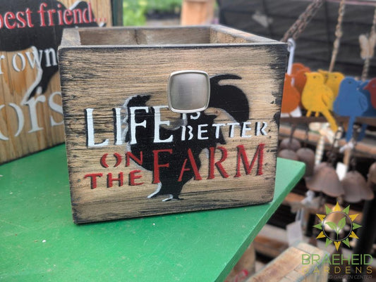 Cubbie w/ handle planter 7" x 7"