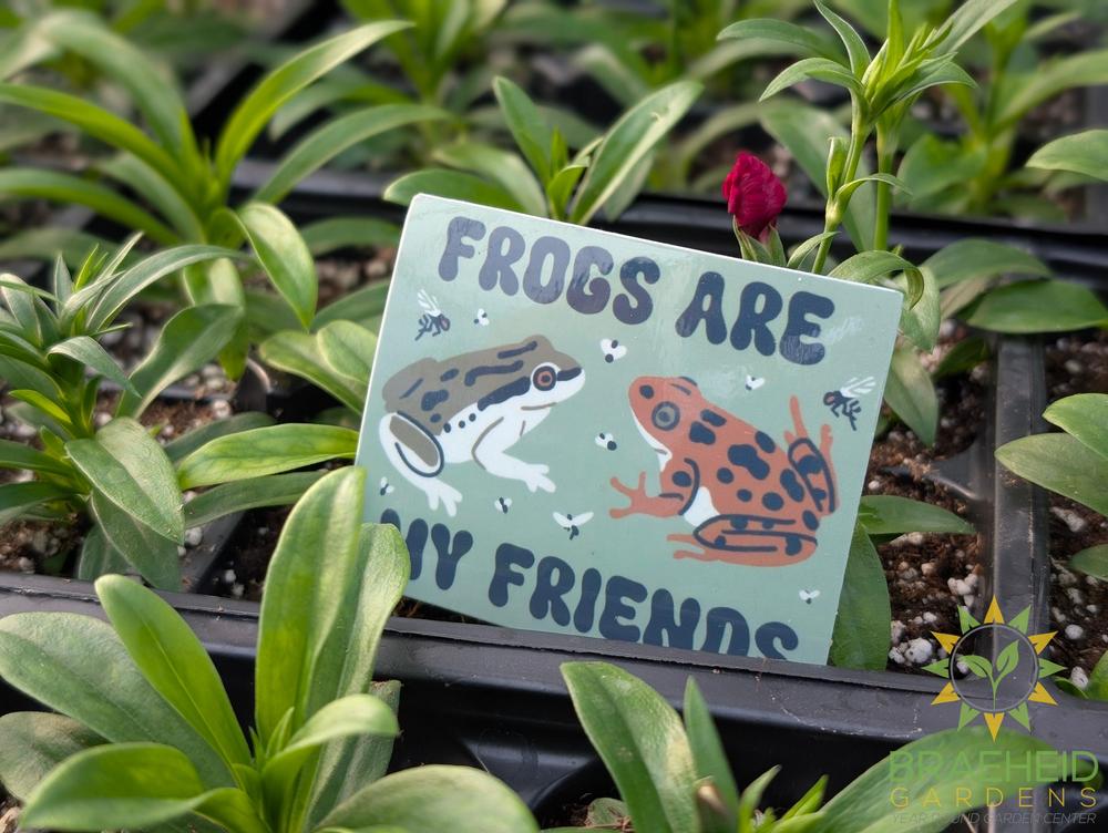Friend to Frogs Sticker