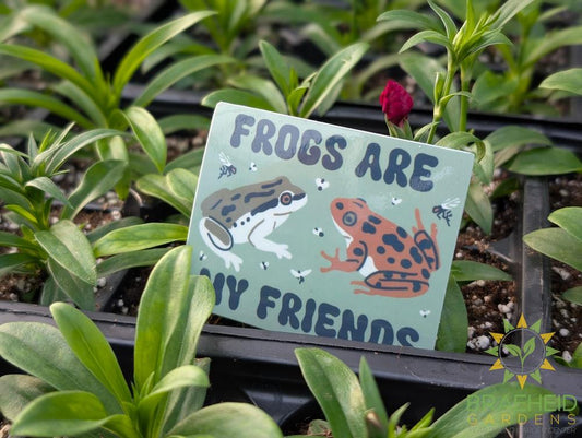 Friend to Frogs Sticker