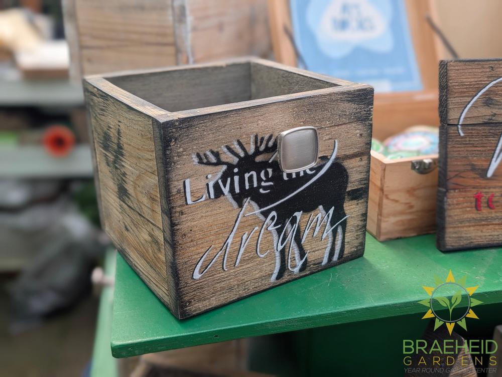 Cubbie w/ handle planter 7" x 7"