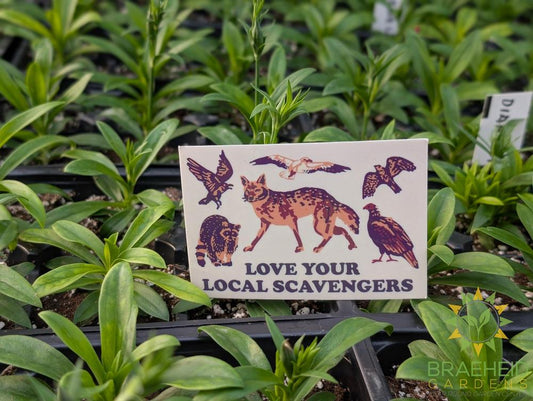 Love Your Local Scavengers Sticker