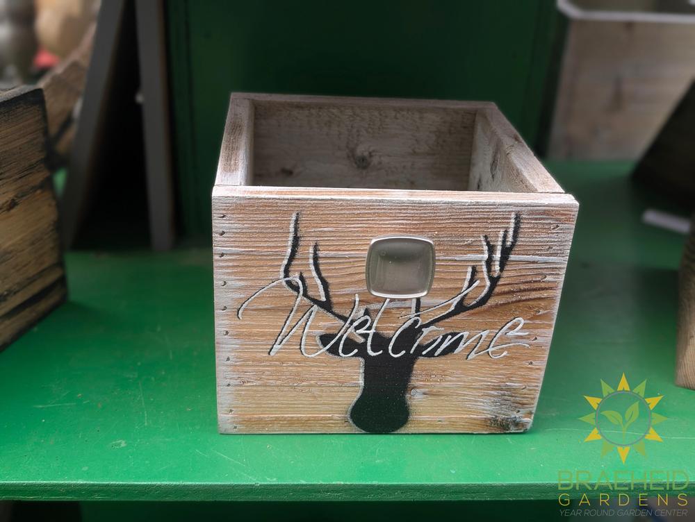 Cubbie w/ handle planter 7" x 7"
