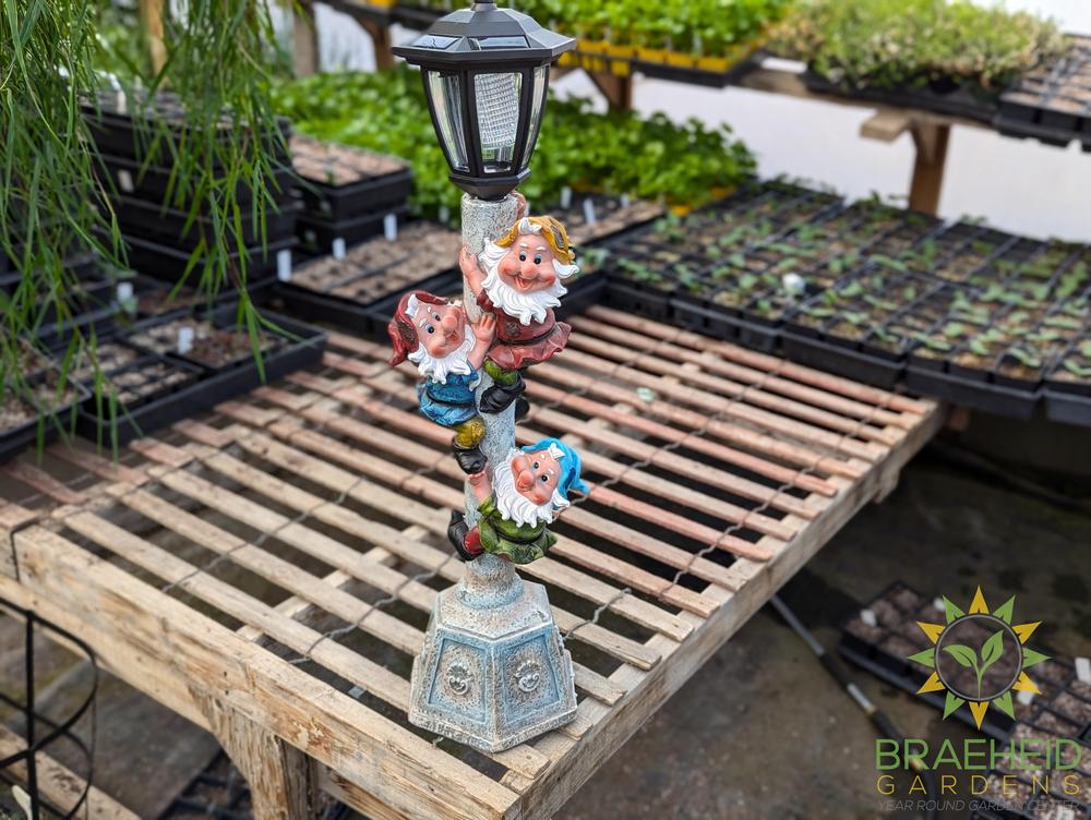 Gnomes On Lamp