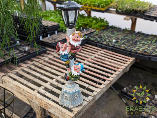 Gnomes On Lamp