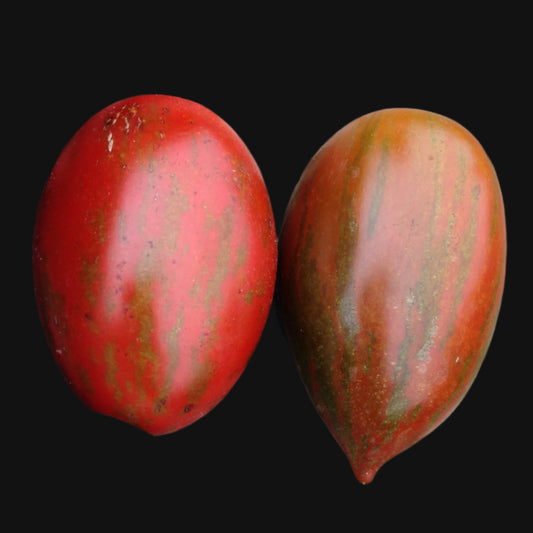 Tiger Pear Tomato