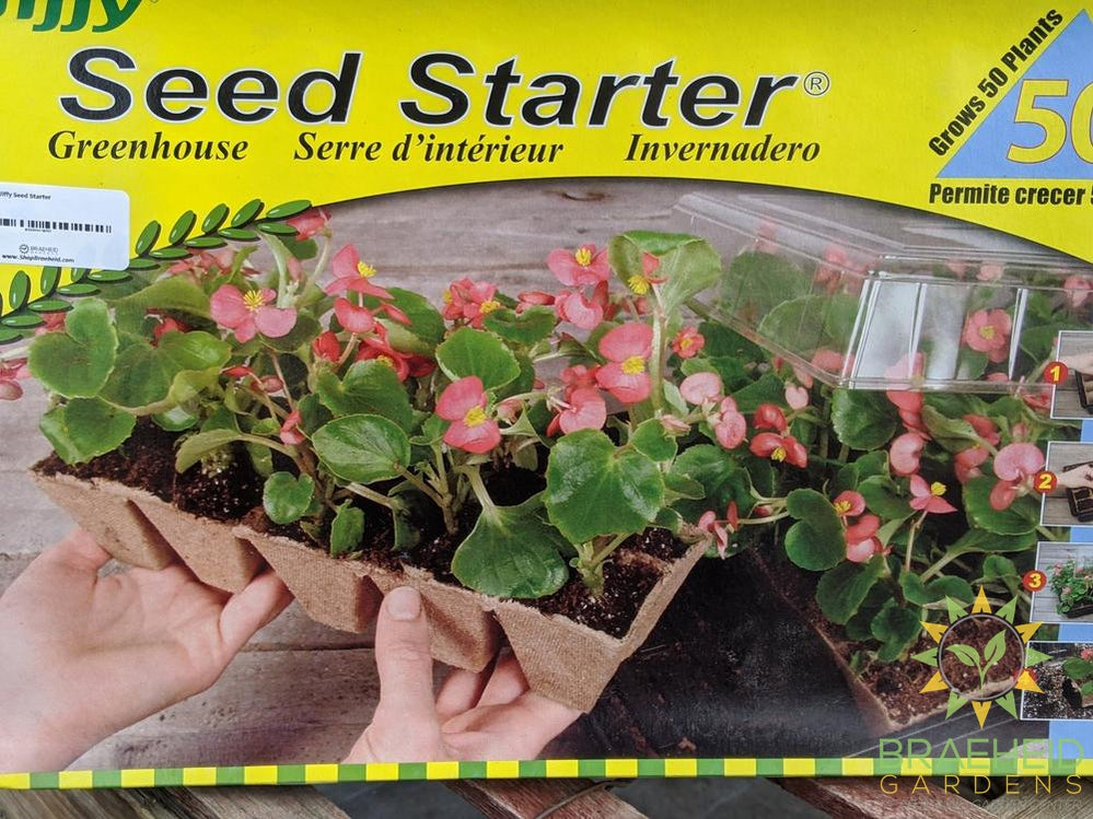 Jiffy Seed Starter