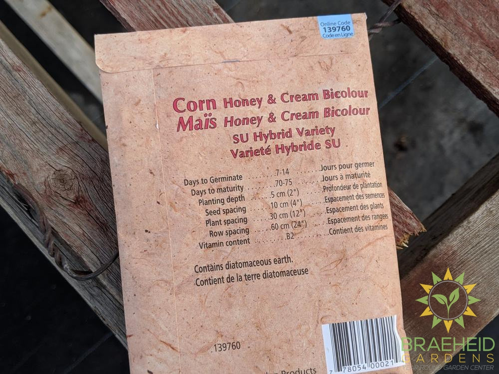 Honey & Cream Bicolor Corn Heritage Seed