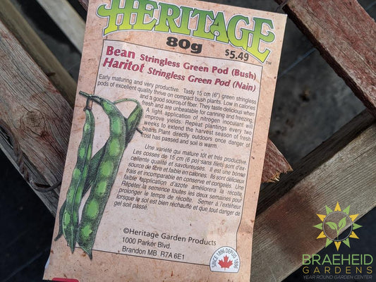 Stringless Green Pod (Bush) Bean Heritage Seed