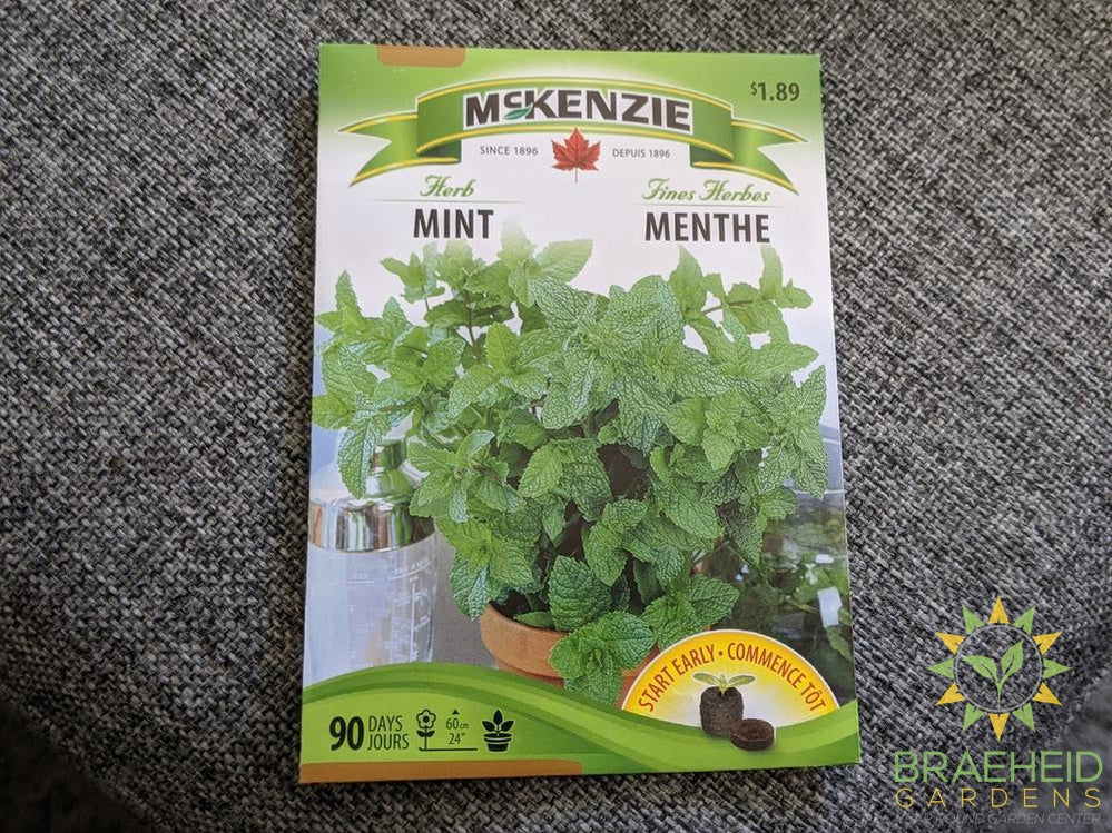 Mint McKenzie Seed