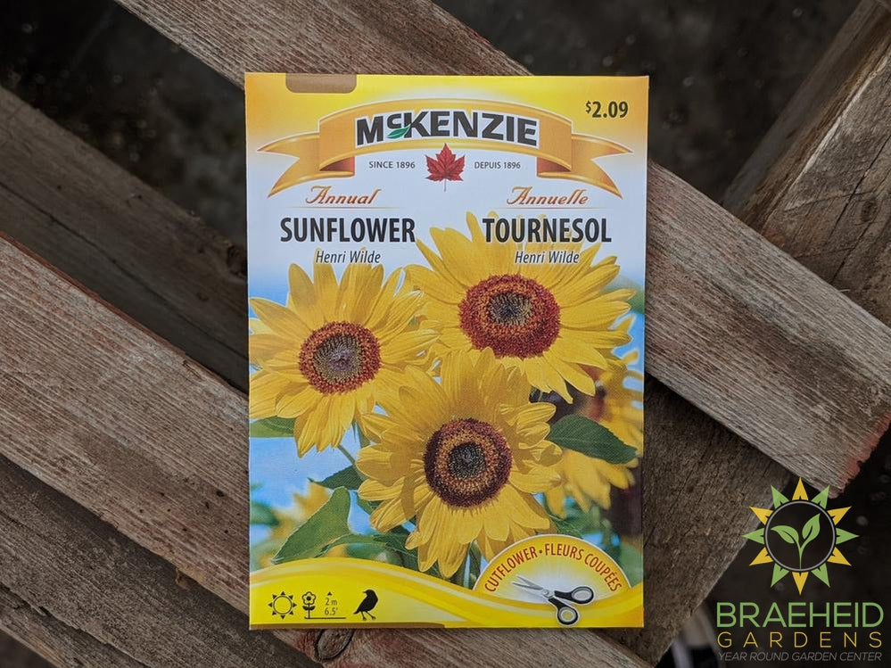 Sunflower Henri Wilde McKenzie Seed