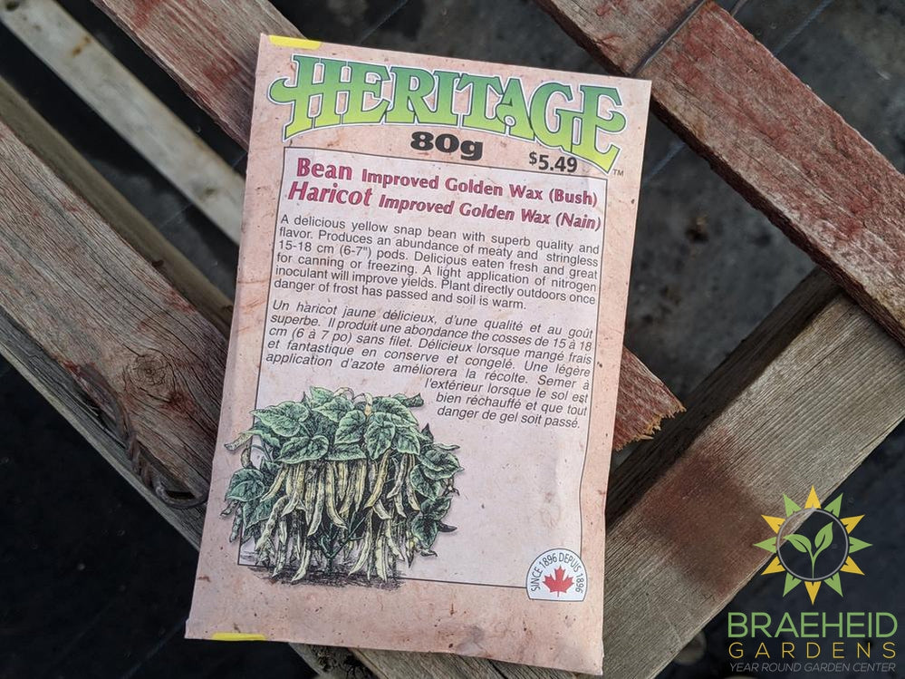 Improved Golden Wax (Bush) Beans Heritage Seed