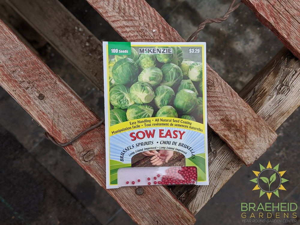 Brussel Sprouts Long Island Improved Mckenzie Seed Sow Easy