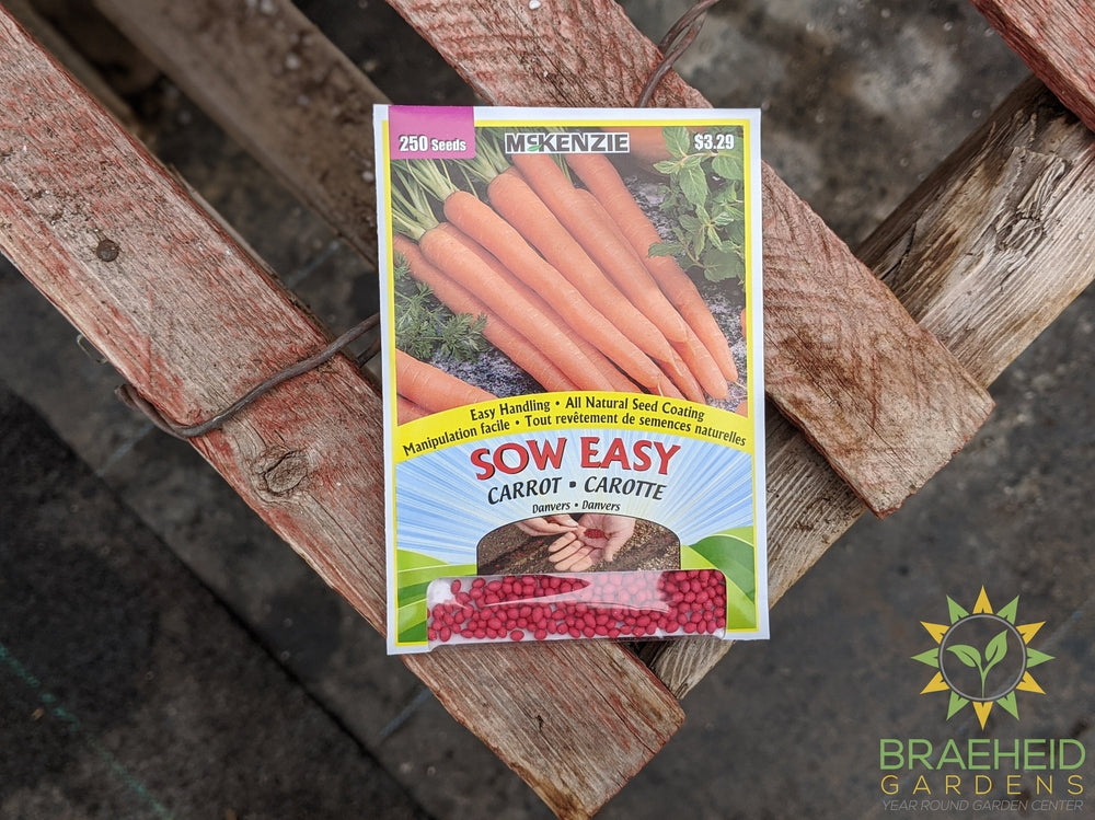 Carrot Danvers Mckenzie Seed Sow Easy