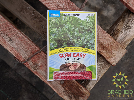 Kale Siberian Mckenzie Seed Sow Easy
