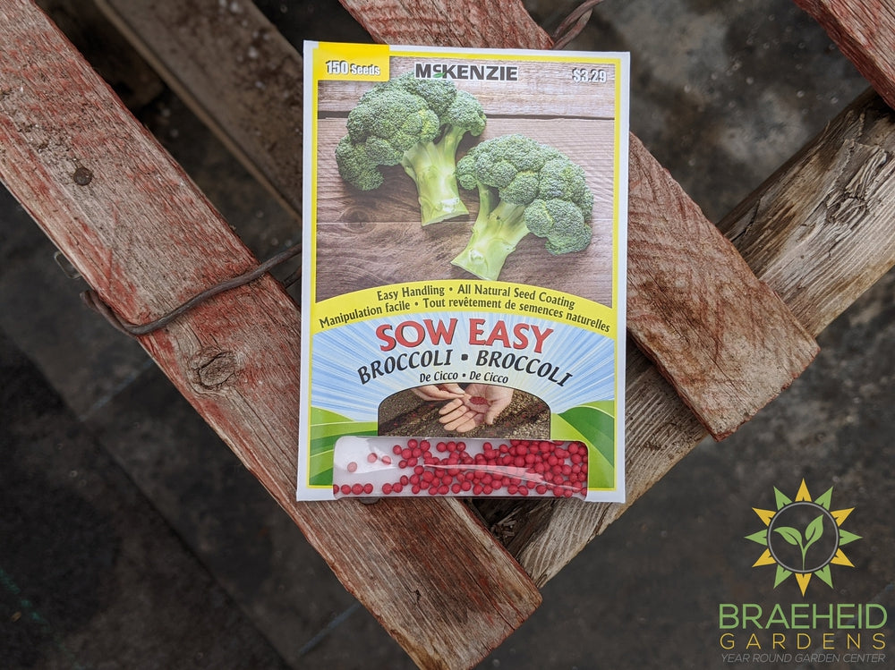 Broccoli De Cicco Mckenzie Seed Sow Easy