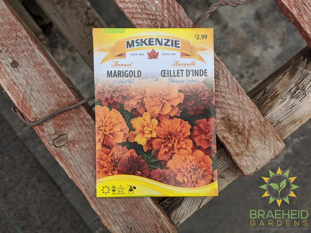 Marigold Fireball Mix McKenzie Seed