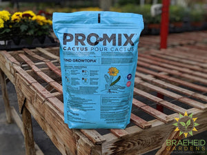 promix cactus soil bag