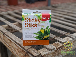 Buy Safers sticky Stiks online in Canada