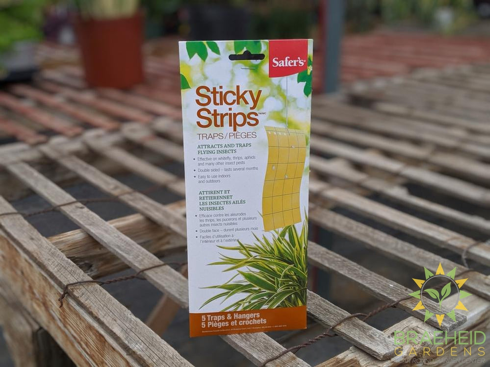 Safer's Sticky Strips Traps