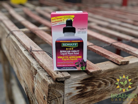 Buy African Violet Fertilizer online in Canada - Schultz