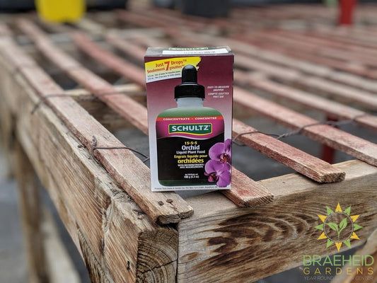 Schultz Orchid Food | Qualify for free shipping
