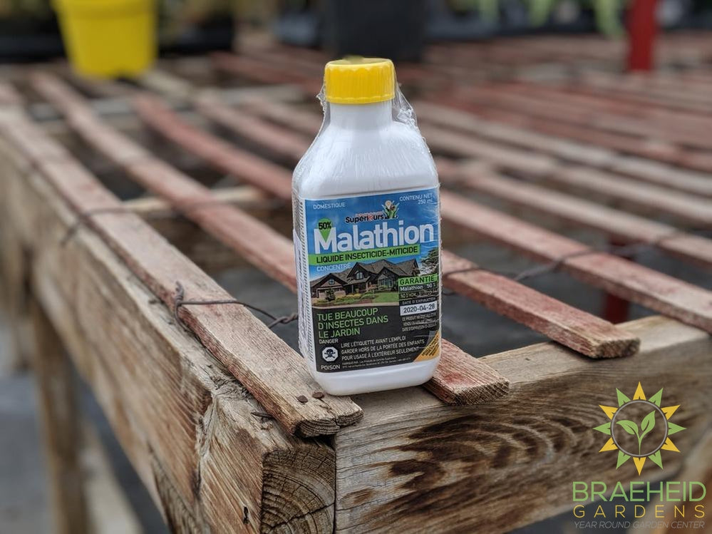 Wilson Malathion Insecticide Concentrate
