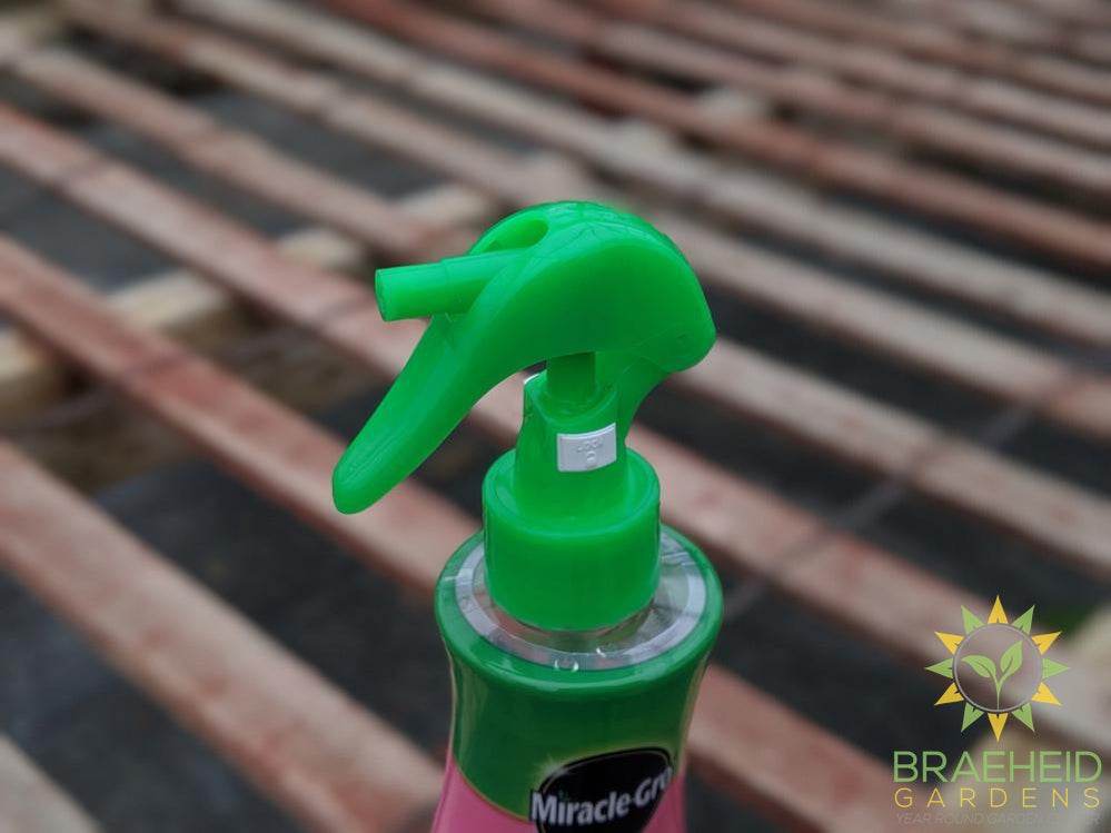 miracle gro orchid mist spray