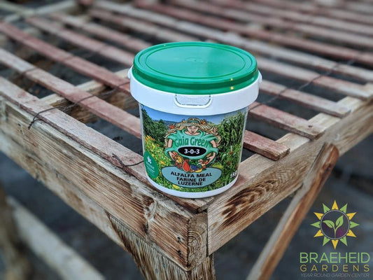 Shop Gaia Green Alfalfa Meal online in Canada