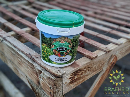 Shop Gaia Green Langbeinite online in Canada