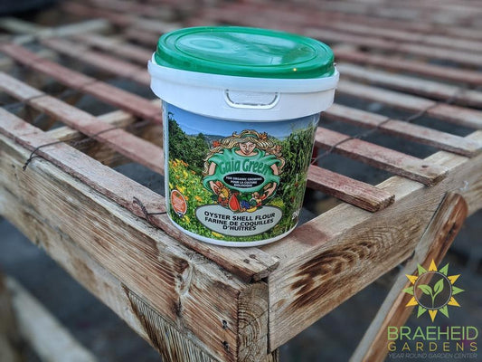 Gaia Green Oyster shell flour online in Canada