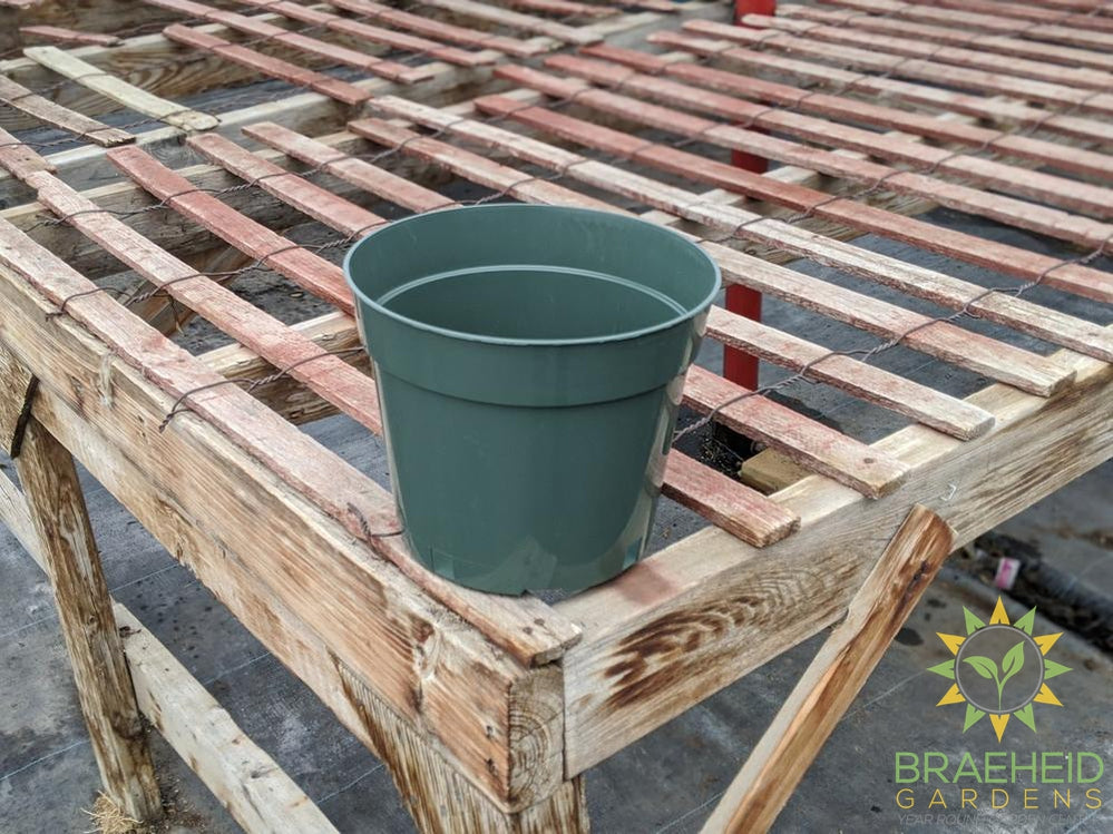 Empty Grower Pots -