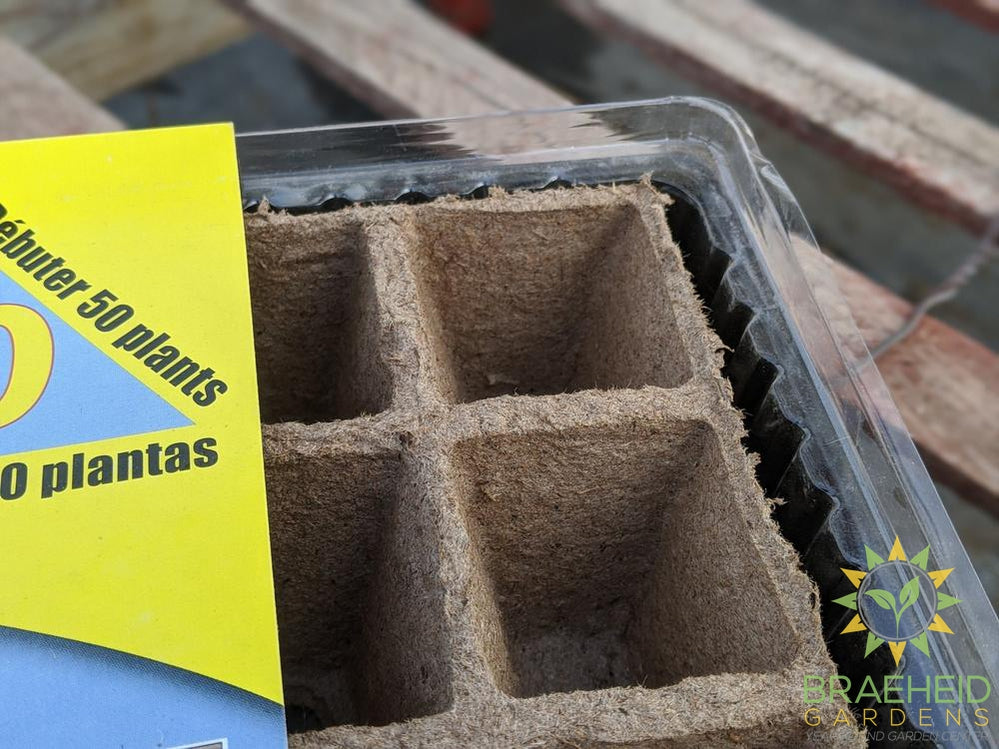 Jiffy Seed Starter