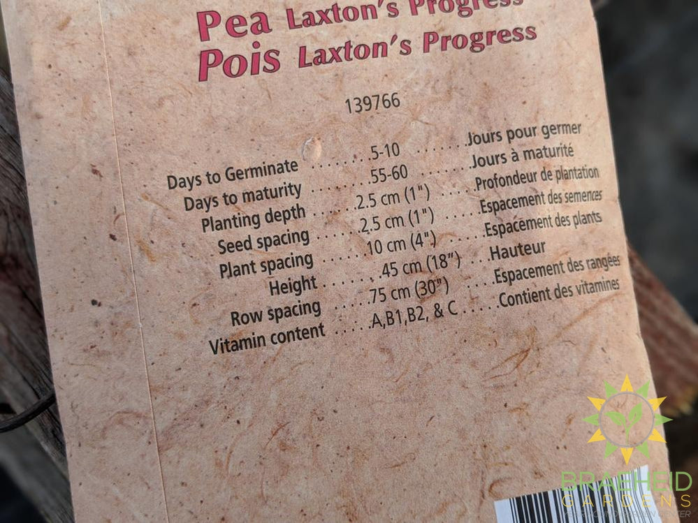 Laxton's Progress Peas Heritage Seed
