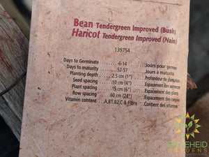 Tendergreen Improved (Bush) Bean Heritage Seed