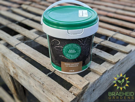 Gaia Green Worm Castings