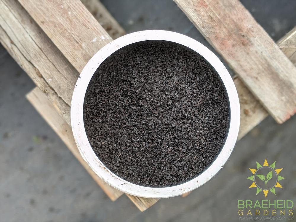 Gaia Green Soluble Seaweed Extract