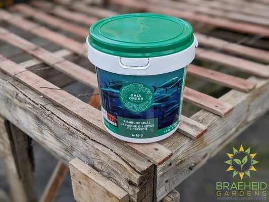Gaia Green Fishbone Meal 6 - 18 - 0