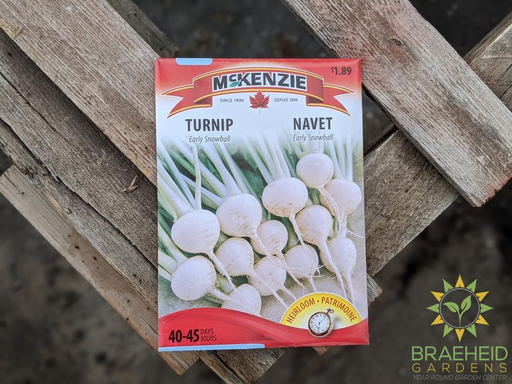 Early Snowball Turnip McKenzie Seed