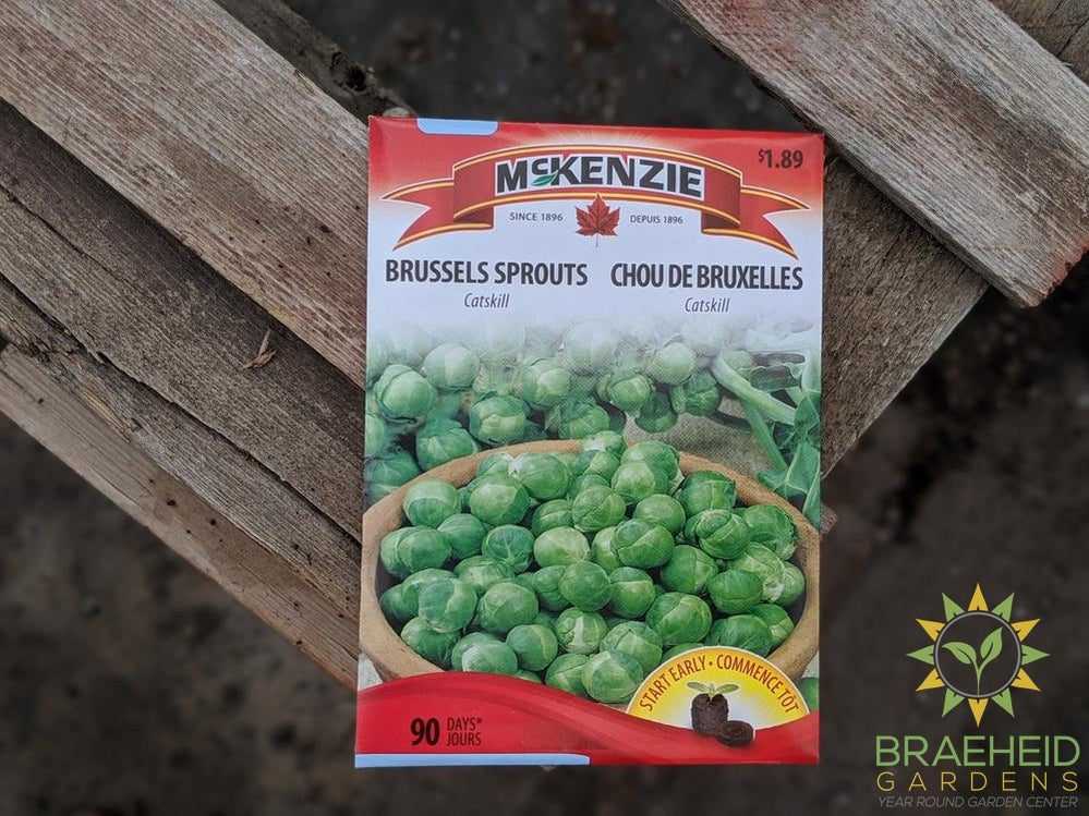 Brussels Sprouts catskill McKenzie Seed