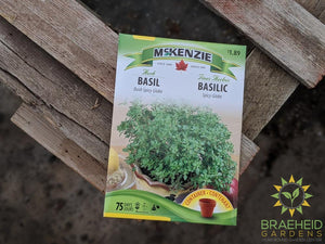 Basil Bush Spicy Globe McKenzie Seed