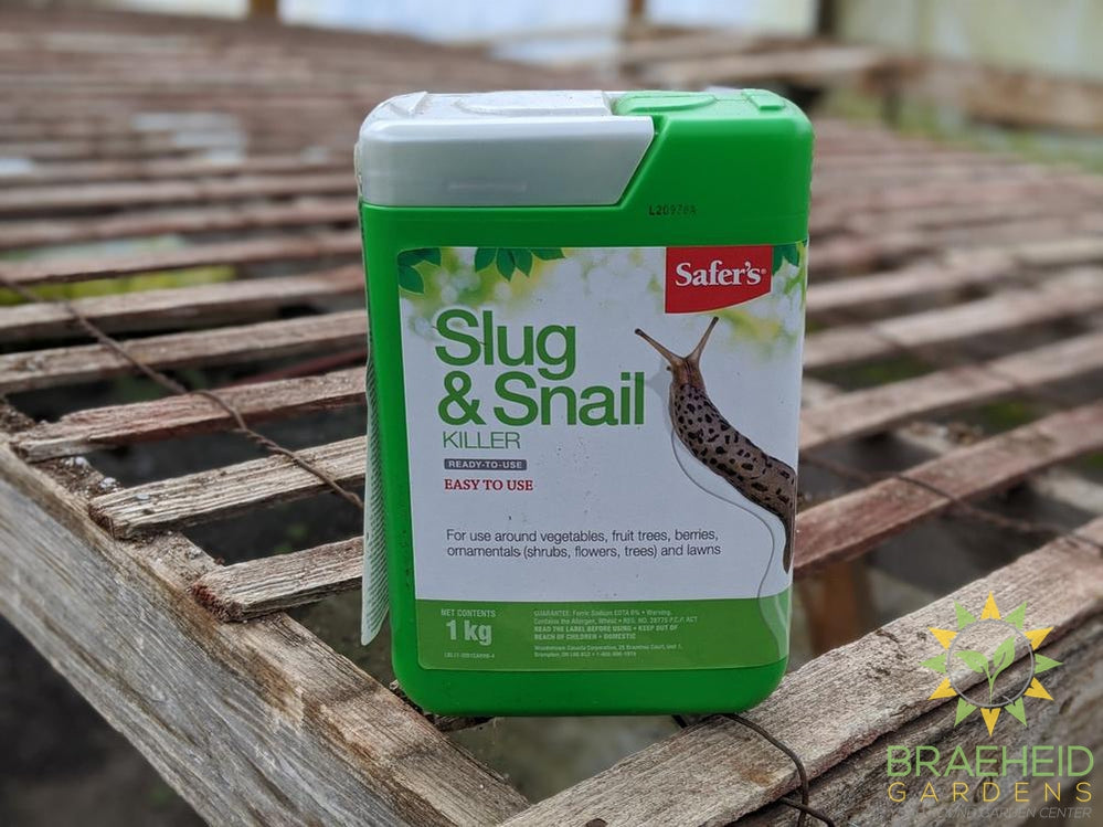 Safer's Slug & Snail Killer 1KG