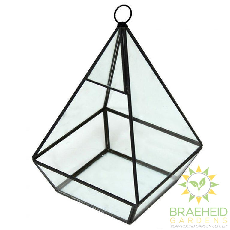 Empty Pyramid Glass TerrariumWith Hanger