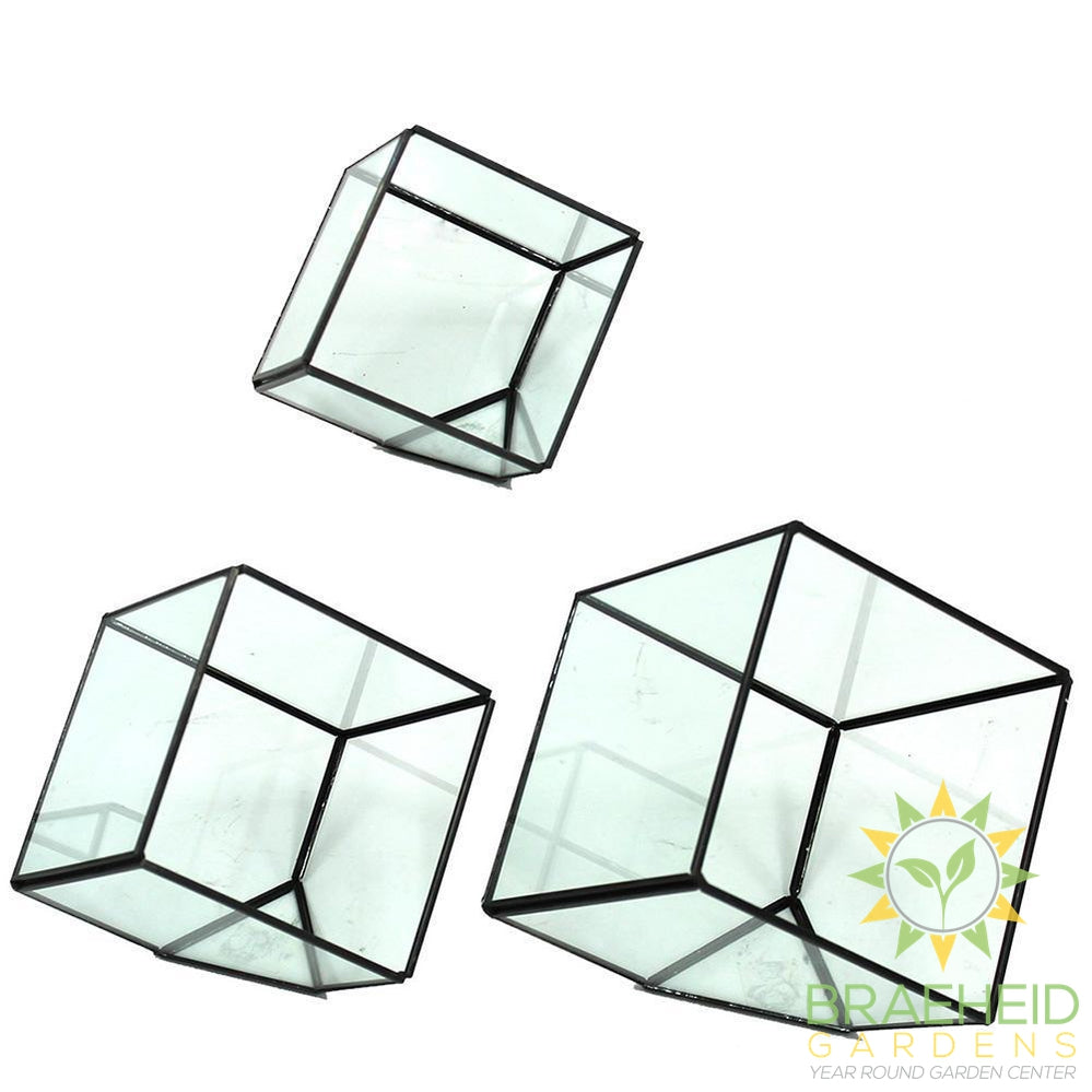 Empty Cube Glass Terrarium