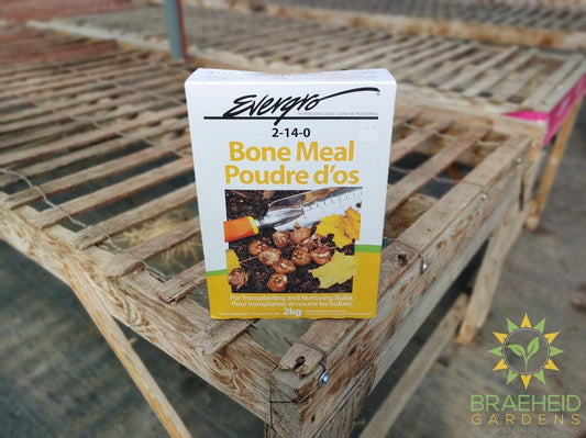 Evergro Bone Meal 2 - 14 - 0