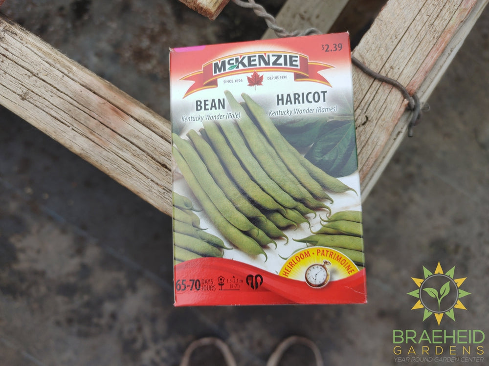 Kentucky Wonder (Pole) Bean McKenzie Seed