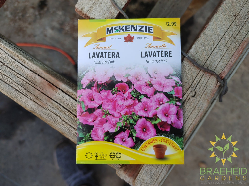 Lavatera twins hot PinkMckenzie Seed