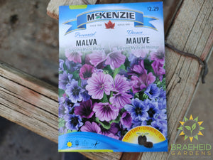 Malva sylvestris mystic mixture Mckenzie Seed
